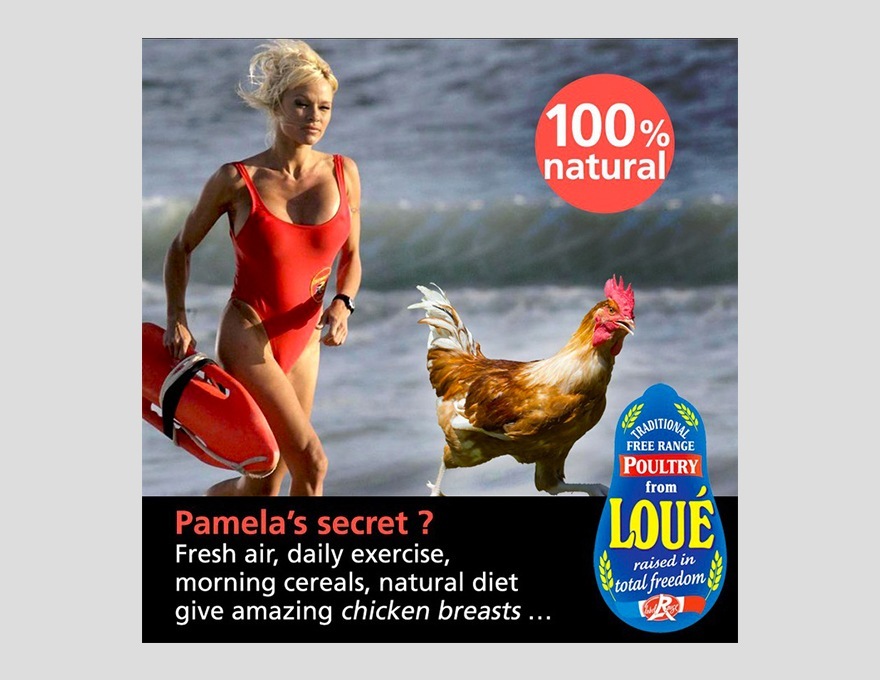 Pamela-Anderson-Loué-pub